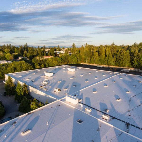 Aerial view of a large white-roofed industrial building surrounded by trees. The sun casts long shadows from roof structures, and a few parked vehicles are visible at the edge. The sky is partly cloudy with a backdrop of green forest.
